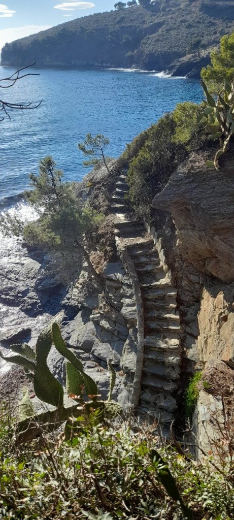 GR 92 13 janvier (5).jpg