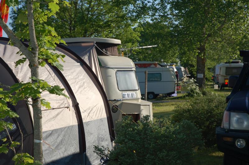 DSC_0184 (Medium).JPG