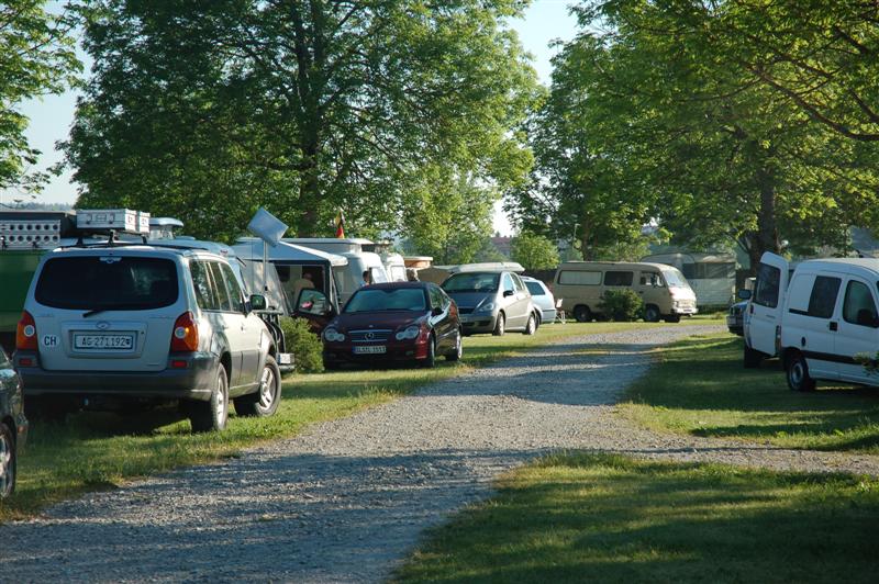 DSC_0186 (Medium).JPG