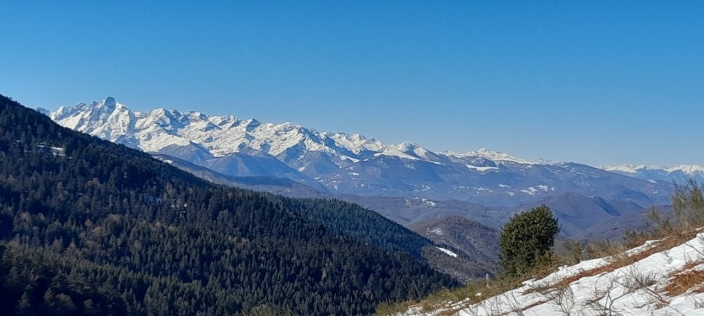 20230212_110536.jpg