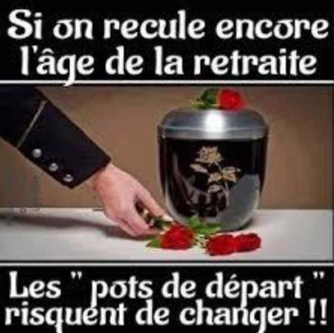 7F822FF7-B362-45A5-9FA5-5B0A26E83604.jpeg