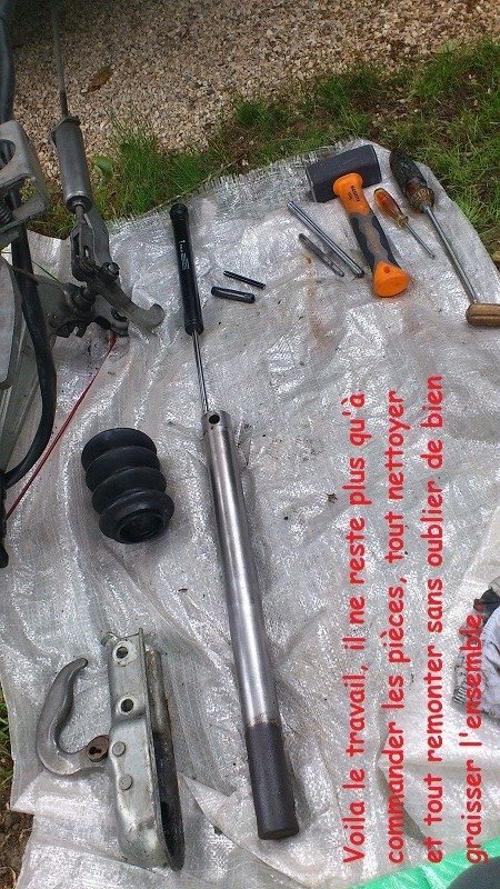 Timon Pan familia 08.JPG